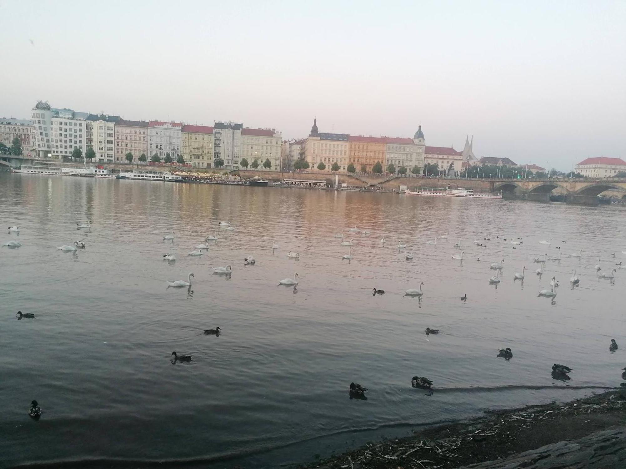 Valentinka Minutes Away From Charles Bridge Apartment ปราก ภายนอก รูปภาพ
